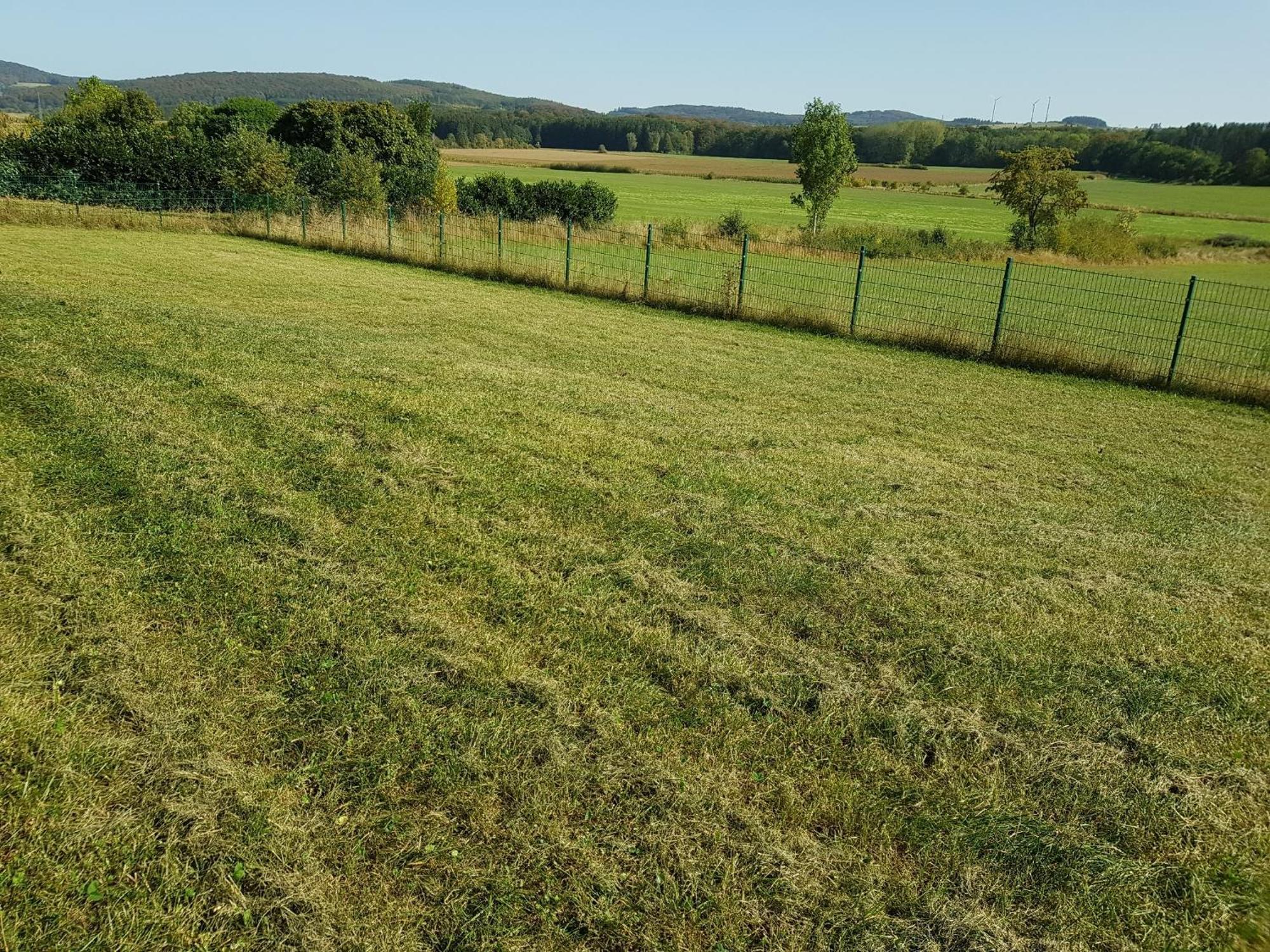 Wolfshuette Villa Hillesheim Kültér fotó